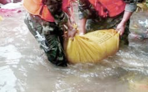 ����Ȟ�(z��i)���ĵ��w�������x10ƪ��