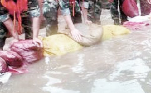 ���P(gu��n)�����ĵ��w��