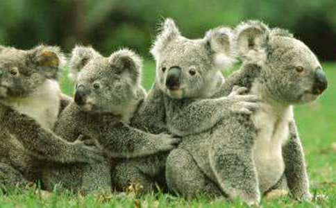 ����������300��