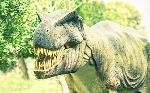 �������A�����@