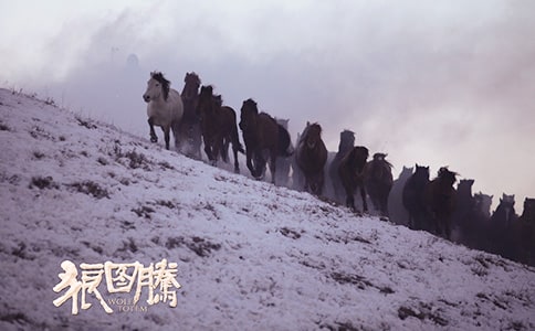 �ǈD�v�x���Pӛ��ͨ��35ƪ��