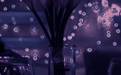 ������Ԓ����