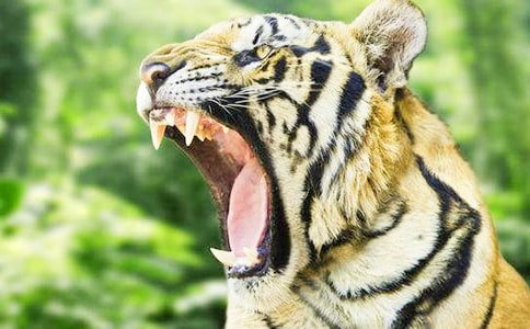 �����ϻ��� ���������](m��i)��