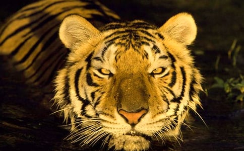 �ϻ����ǷЪ���Z�����