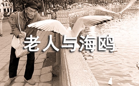 �������c���t���x���