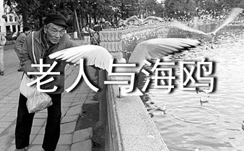 �������c���t�����x��(sh��)�Pӛ