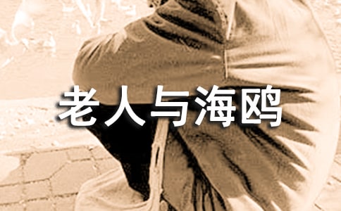 �����c���t�n���O(sh��)Ӌ(j��)