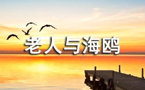 �������c���t���n�ý̌W(xu��)�O(sh��)Ӌ(j��)(2)