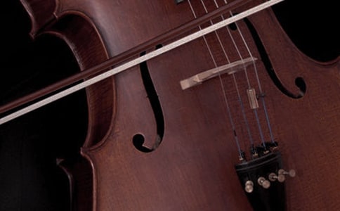 ����Ę�������