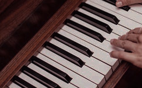 ����Ę�������