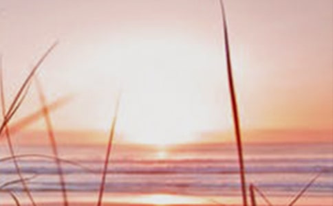 �ǂ�(g��)�����o��������