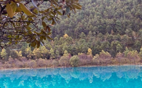 游麗江的古城作文