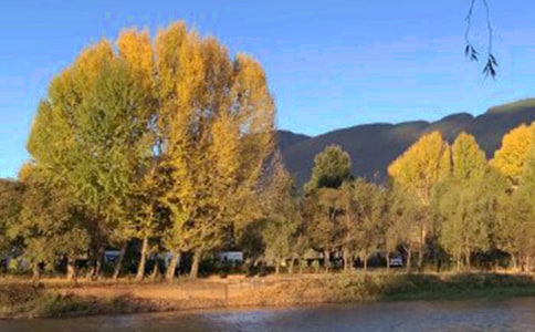 ���������ģ����x��