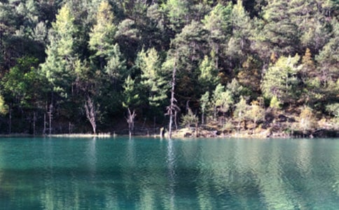 �P(gu��n)������������ɢ��