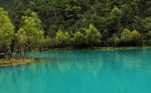 �������ų����ġ����x2ƪ��