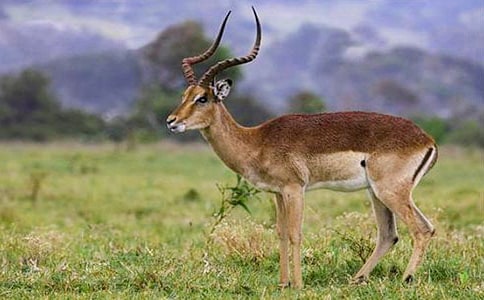 �������ݵ��x���