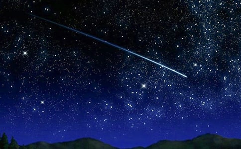 �����T������