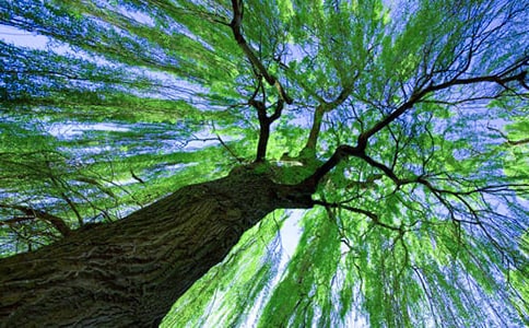 �茑�����Ԋ��[�R��15ƪ]