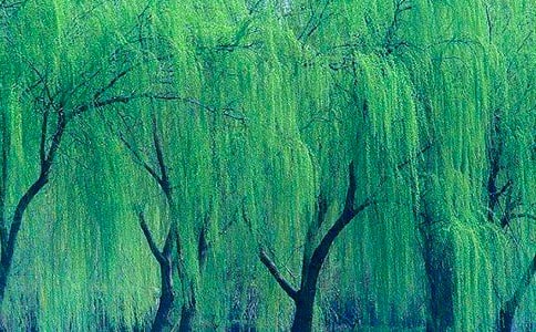 �茑����(sh��)��Ԋ(sh��)��