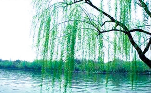 ��ϲ�g������(sh��)����