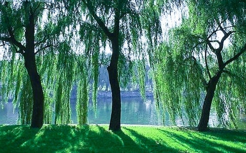 �茑(xi��)����(sh��)�ľ���210��