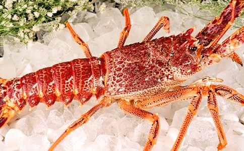 ����r����(��)