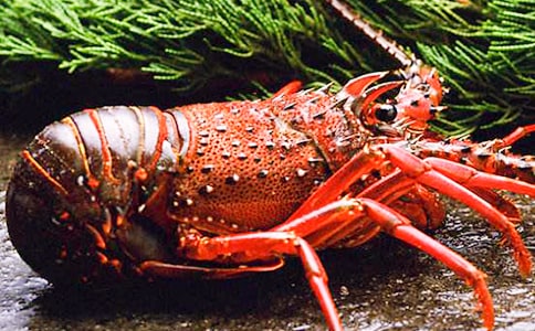 С���r�ҳ�������ȫ