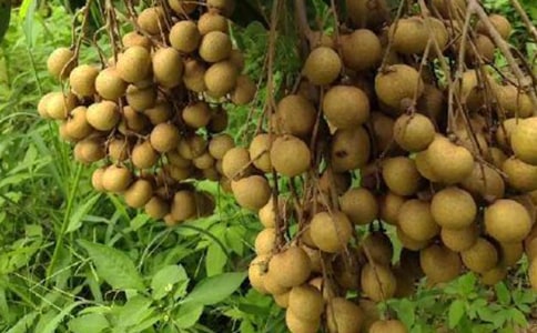 ����(y��u)�����۵�����