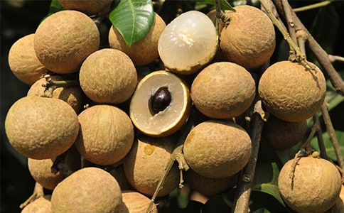 ���ۘ�����