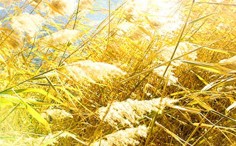 [��Ʒ]�P(gu��n)���JȔ?sh��)����?/></p><h2>�����P(gu��n)���JȔ?sh��)����?ƪ1</h2><p>����