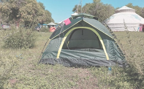 �P(gu��n)��¶�I������