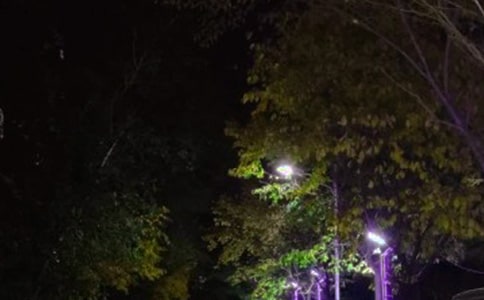 �P(gu��n)��·��������15ƪ����(j��ng)�䣩