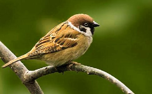 ��ȸ���w������