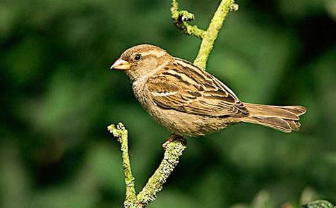 (��)С��ȸ����