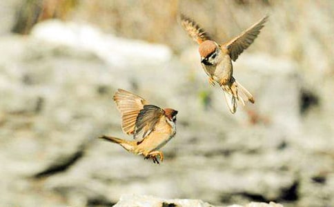 С��ȸ����