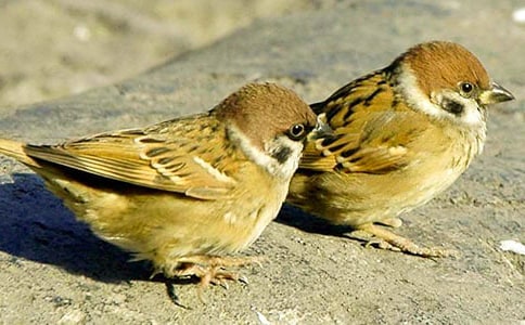 �P(gu��n)����ȸ������