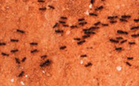 Λρ����������