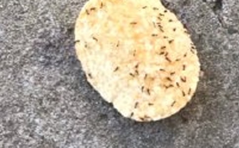 ��СΛρ���D��Ԓ