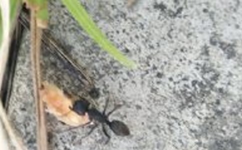 ��Λρ���V�Z