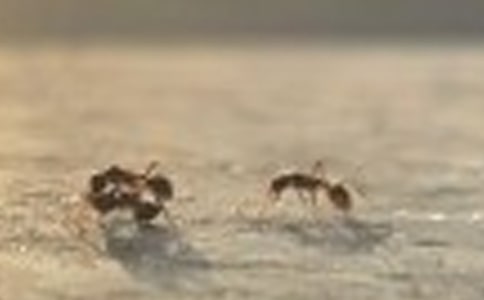 Λρ�^�ӿ��D��Ԓͨ�ã�15ƪ��