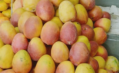 С���ӵ�â���Ĺ���