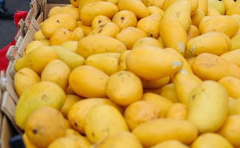 �Ґ�â������8ƪ����(y��u)��