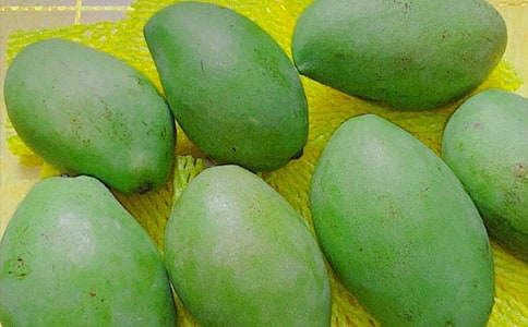 Ů�˳�â���ĺ�̎