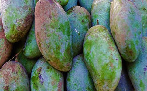 �Ґ�â�����ąR����2ƪ��