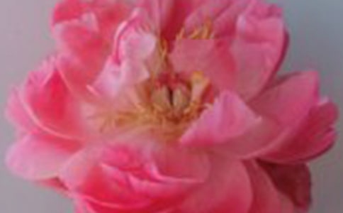 ��õ��ĺ��x