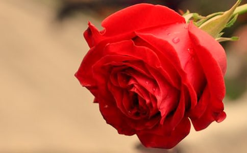 �tõ���c��õ���x���1500��