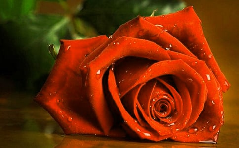 õ���Z���x���