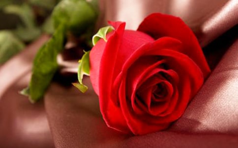 ���_�ϵļtõ���x���