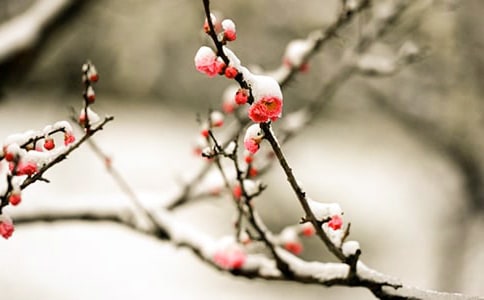 �茑÷����Ԋ��[��ȫ15ƪ]