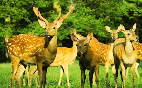 �����С÷��¹���D��Ԓ